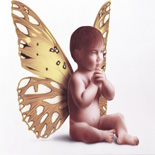 Butterfly.jpg (23981 bytes)