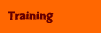 professional training