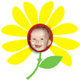 Daisy Image